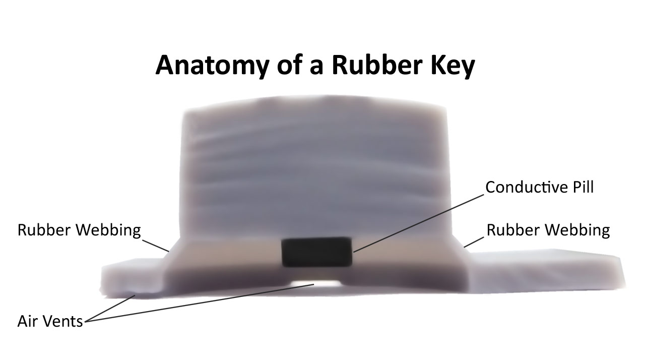 Diagram: Anatomy of a Single Rubber Key